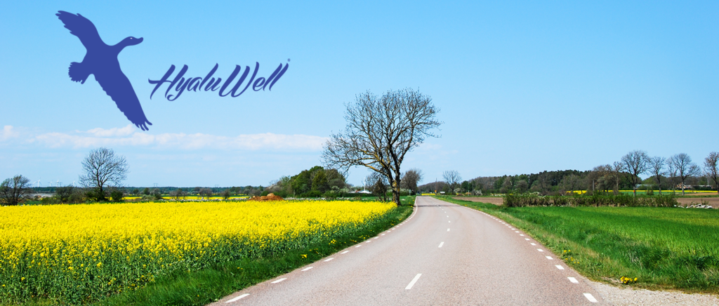 HyaluWell ® La strada verso il benessere